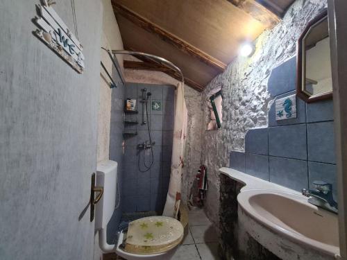 a small bathroom with a toilet and a sink at Cottage made of stones and wood with the sea view. in Blato