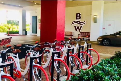un montón de bicicletas estacionadas frente a un edificio en Lovely 2Bed 1Bath Condo With Private Balcony 18th Floor, en Hallandale Beach