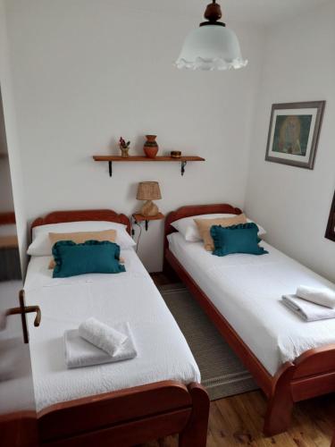 two beds in a room with blue pillows at Green Eco Cottage in Kolašin