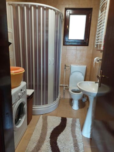 a bathroom with a shower and a toilet and a sink at Green Eco Cottage in Kolašin