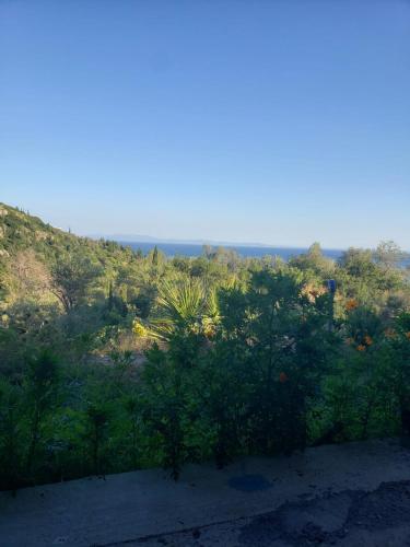 a view of a hill with trees and bushes at Vila zaho in Dhërmi