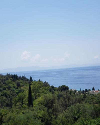 a view of the ocean from a hill with trees at Vila zaho in Dhërmi