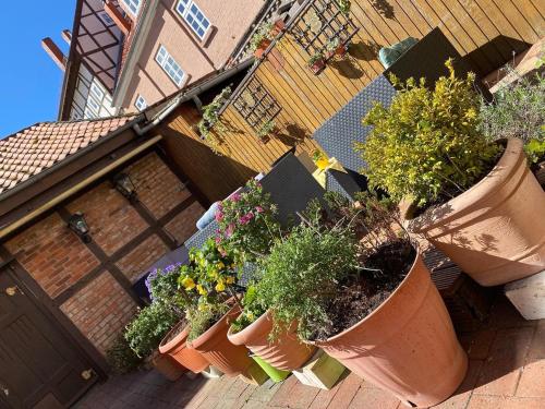 a group of potted plants in front of a house at Gasthof Altenceller Tor in Celle