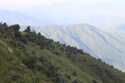 a green hill with mountains in the background at Veda Inn in Chakrāta