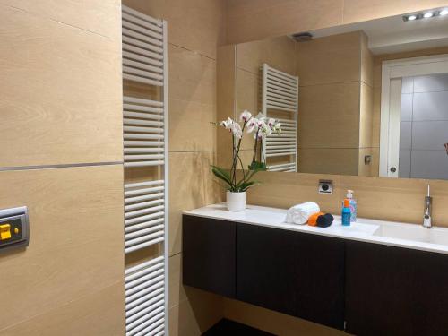 a bathroom with a sink and a mirror at Ondarreta Beach - Singular y exclusivo in Donostia-San Sebastián