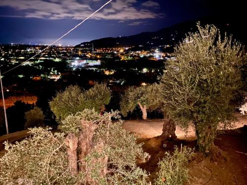 a view of a city at night with trees at Villa Patrizia Pietrasanta in Pietrasanta