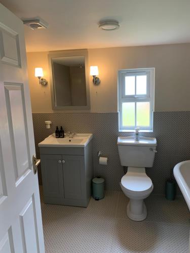 a bathroom with a toilet and a sink and a window at Toms Cottage in Longford