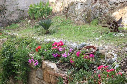 Gallery image of Casa Mary in Castiglioncello