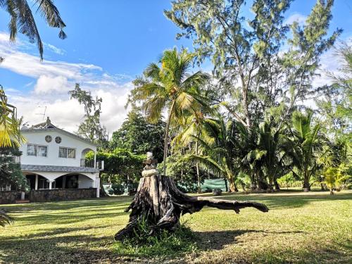 a tree stump in the grass in front of a house at Villa Karel Mauritius Beach house in Riambel