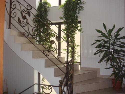 Una escalera de caracol con plantas en una casa en Villa Edera Residence - Gazda Profesionista, en Bucarest
