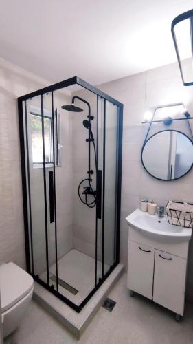 a bathroom with a shower and a toilet and a sink at Stegna Rita's apartment in Archangelos