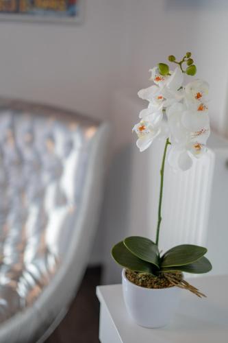 a white flower in a white vase on a table at Rooms21 in Schiefling am See