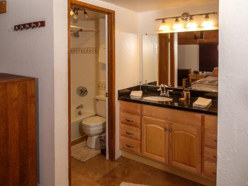 uma casa de banho com um lavatório, um WC e um espelho. em COZY Condo at Canyon Lodge! Sleeps 8, a walk to Canyon Lodge em Mammoth Lakes