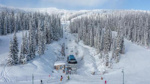 a ski slope with snow covered trees and a ski lodge at Bear's Paw Chalet - Amazing Location & Ski In-Out in Big White