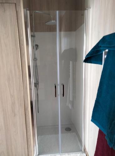une douche avec une porte vitrée dans une salle de bain dans l'établissement Gîte atypique en bois entre ville et verdures, à La Chapelle-Saint-Mesmin