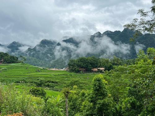 a green field with mountains in the background at Inh La Home Pu Luong in Pu Luong