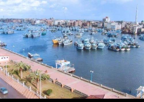 العربية العالمية للسياحة و الرحلات شقق فندقية فاخرة برأس البر في ‘Izbat al Burj: ميناء مملوء بالكثير من القوارب في الماء