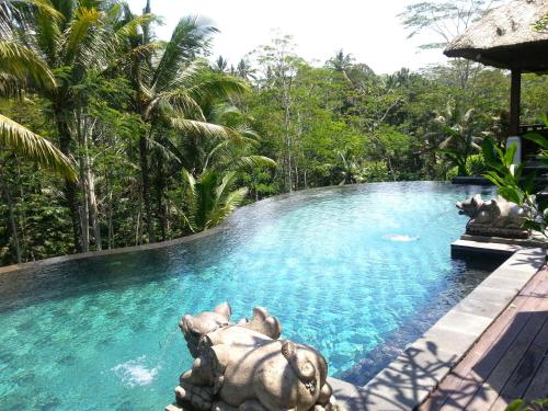 Villa Amrita – ছবি 4