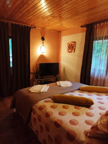 a bedroom with two beds and a flat screen tv at CASA ARTEMI in Remeţi