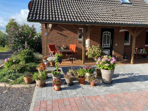 a group of potted plants in front of a house at Lieblingsort Buxtehude in Buxtehude