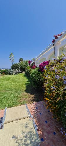 a house with a garden and a lawn with flowers at Hotel Albatros in Ischia