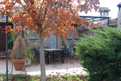 a tree with orange leaves in a garden at Casa Rural Rincon de la Vega in Los Cortos