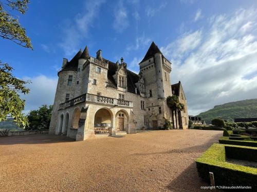 un vieux château sur une colline avec un ciel dans l'établissement Gîte CLIMATISE les althéas, à Lanquais