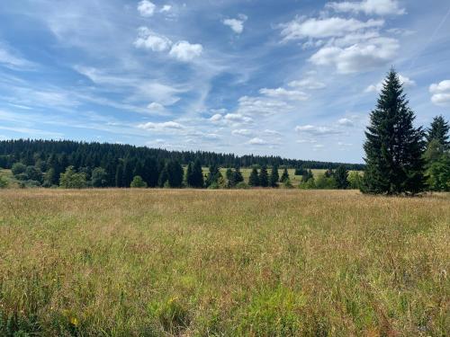 a field with a tree in the middle of a field at Chalupa Magistrála in Horní Blatná