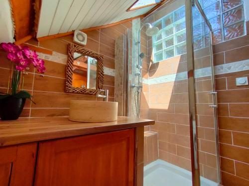 a bathroom with a shower and a sink and a tub at La Belle Escale in Gap