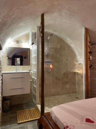 a bathroom with a shower and a bed in a room at La Belle Escale in Gap