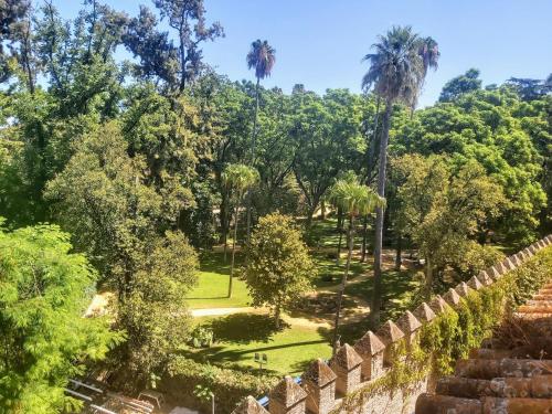 Miisterhost La Casa de San Fernando con vistas a los Reales Alcázares