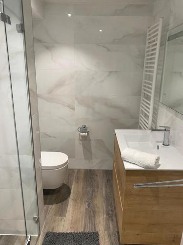 La salle de bains est pourvue de toilettes, d'un lavabo et d'une douche. dans l'établissement Lovely One Bedroom Apartment in City Center with Parking, near Public Transport, à Luxembourg
