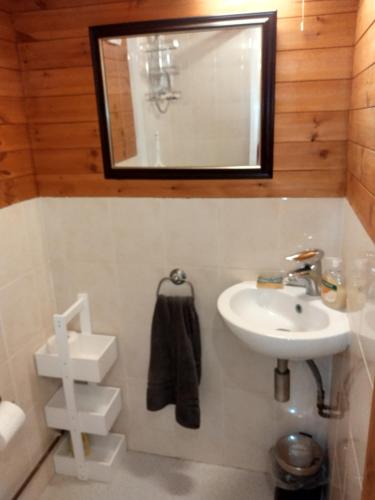 a bathroom with a sink and a mirror at self contained flat in Llanfyllin Powys in Llanfyllin