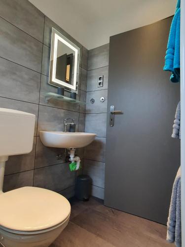 a bathroom with a toilet and a sink at FeWo Sonja in Sankt Andreasberg