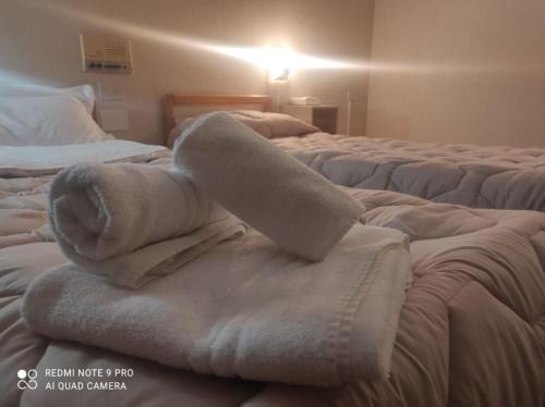 Hotel Centrale