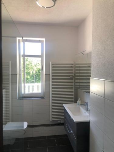 een badkamer met een wastafel, een toilet en een raam bij Ferienwohnung Katzenstein im Harz in Bad Sachsa