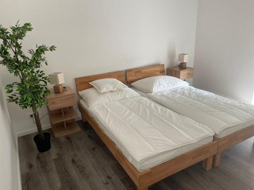 a bed with white sheets and a plant in a room at Sorinas Unterkunft WB16 Top 6 