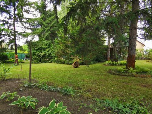 a yard with trees and green grass and a field at Szent Erzsébet Apartmanház in Kecskemét