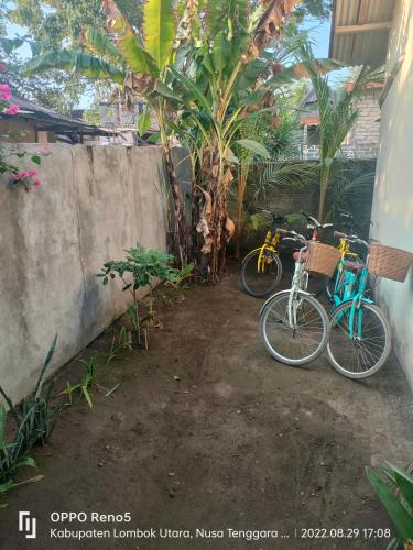 two bikes are parked next to a wall at H.Said Homestay in Gili Trawangan