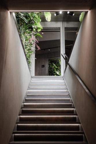 a staircase leading up to a building with plants at Locanda MaMaGiò in Valdobbiadene
