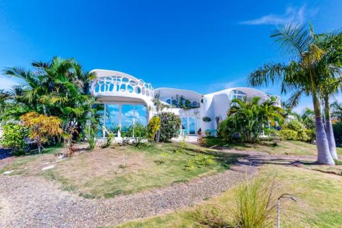 a house on a hill with palm trees at Alterhome Swan villas with swimming pool and ocean views in Placencia Village