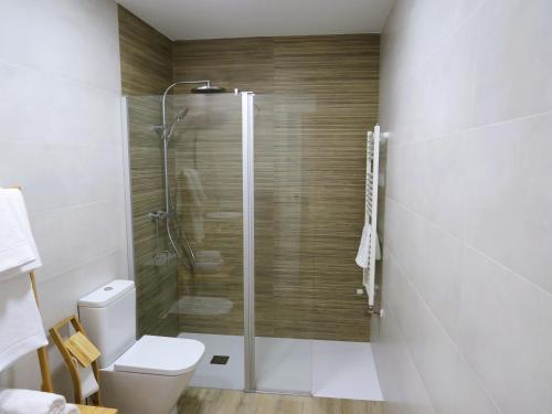 a bathroom with a toilet and a glass shower at Apartamento Casa Roda in Bielsa
