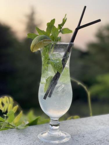a glass with a drink with a lime in it at The Lilly Restaurant With Rooms in Llandudno