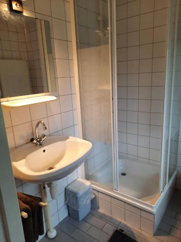 ein Bad mit einem Waschbecken und einer Dusche in der Unterkunft B & B Ayo in Wapserveen