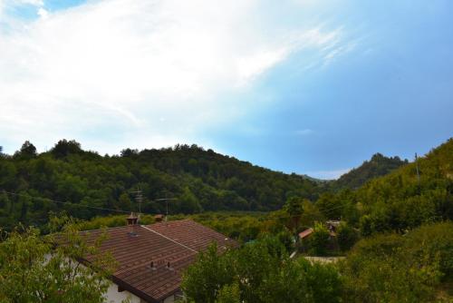 un techo de una casa con montañas en el fondo en ROERooms, en Vezza d'Alba