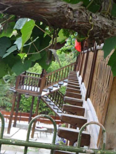 a set of stairs leading up to a tree at Недкова къща in Koprivshtitsa
