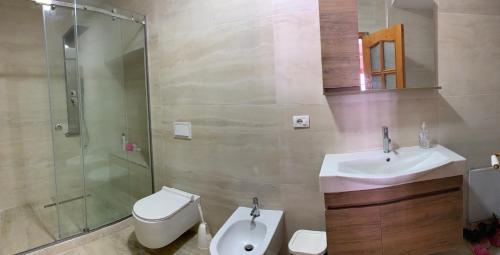 La salle de bains est pourvue d'un lavabo, de toilettes et d'une douche. dans l'établissement Villa Celaj “The Castle”, à Krujë