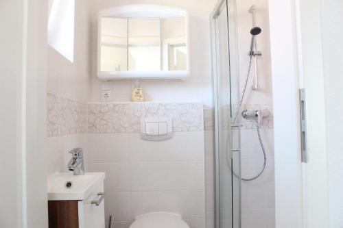 a bathroom with a shower and a toilet and a sink at Ferienhaus Brigitte in Carolinensiel