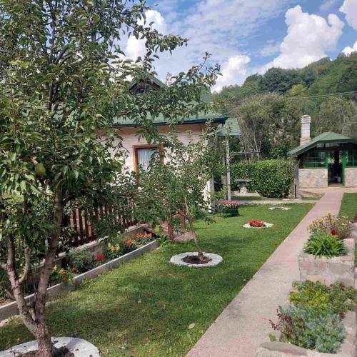 a house with a garden with a tree in the yard at Rooms and apartmants Mirovic in Kolašin