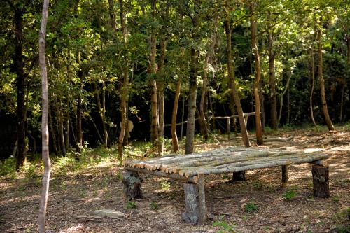 a wooden bench sitting in the middle of a forest at Il Poggio degli Olivi in Bettona
